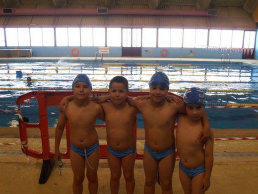 CN Torrijos - Cto Provincial Natación 2012 00004 CN Torrijos - Cto Provincial Natación 2012