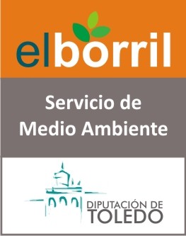 borril.jpg