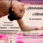 Cartel Club Gimnasia Rítmica Torrijos 2012-2013