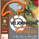 Cartel VII Jornadas de la Tapa Torrijos 2011