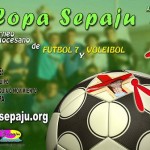 Cartel V Copa SEPAJU - Torrijos 2011