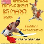 Espectáculo Kungfu Escuela Shaolín