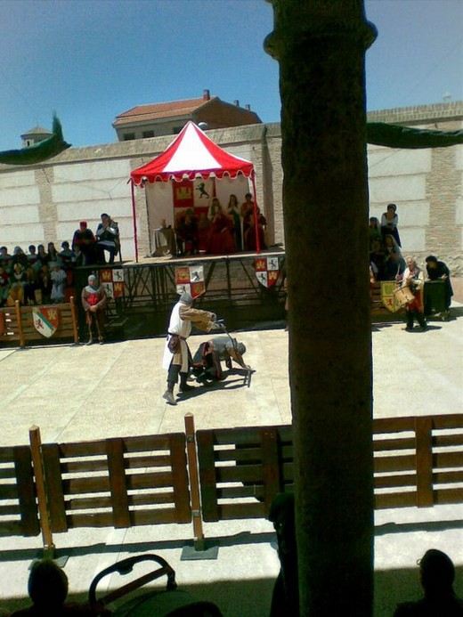 Fotos Crónicas Rey don Pedro Torrijos 2011 00009 Fotos Crónicas Rey don Pedro Torrijos 2011