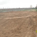 Huerto Ecológico Mayores