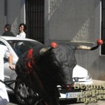 Torrijos-Sementera-2010-Encierro-Infantil-00002